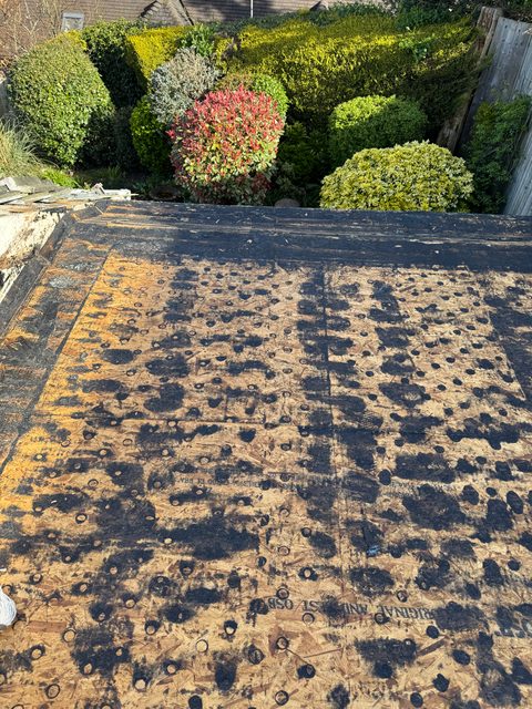 Storm Dry Roofing flat roof job, before: old covering off and the deck prepared, looking towards the garden